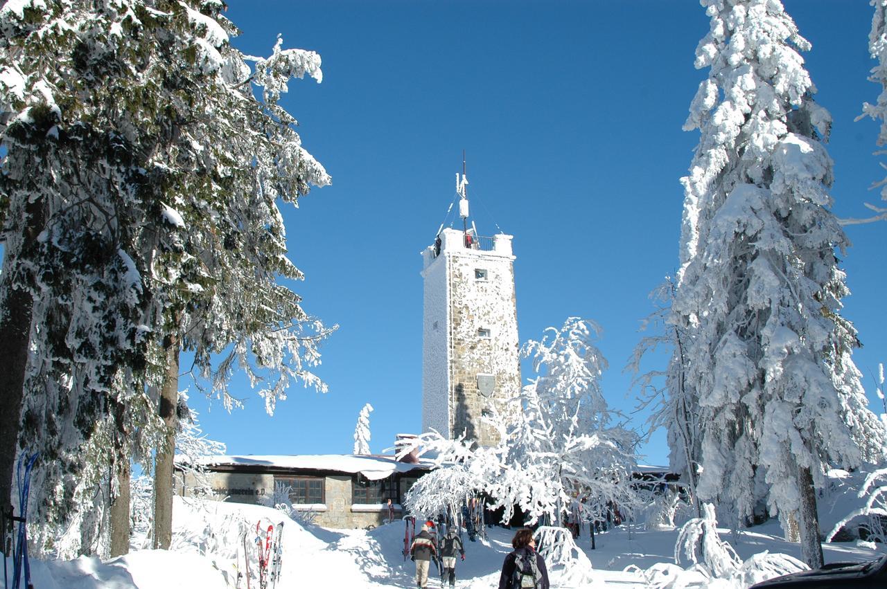 Landgasthof/Landhaus Waldlust Bischofsgruen Luaran gambar
